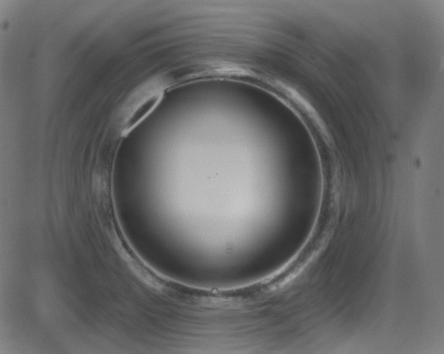 X0000081401281200701111533
