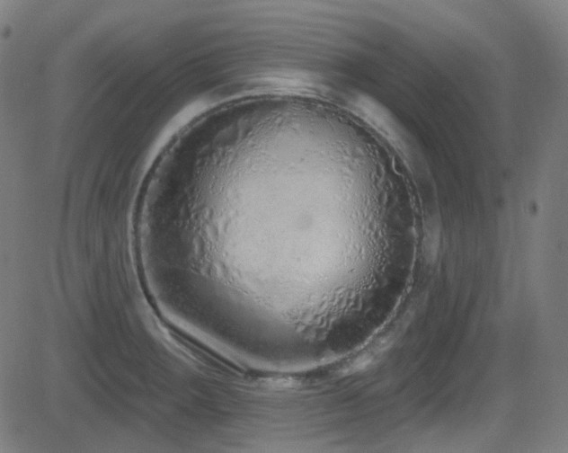 X0000081401283200701111533