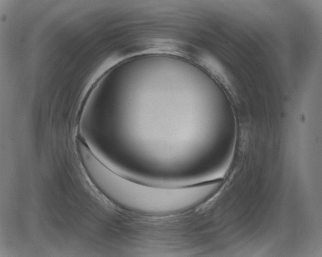 X0000081401284200701111533