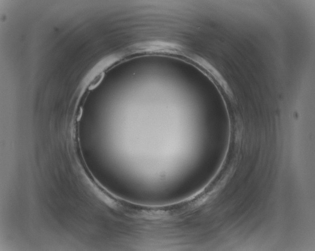X0000081401285200701111533