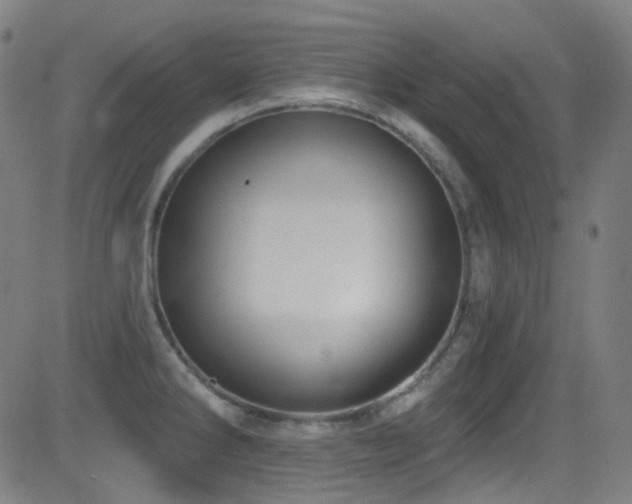 X0000081401286200701111533