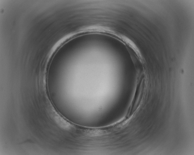 X0000081401288200701111533