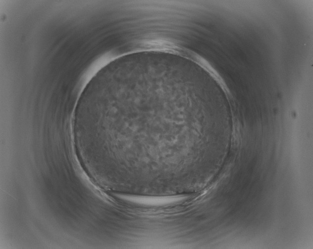 X0000081401291200701111533