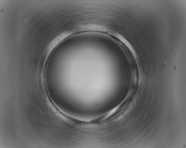 X0000081401293200701111533