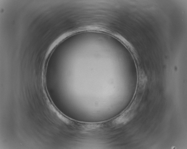 X0000081401294200701111533