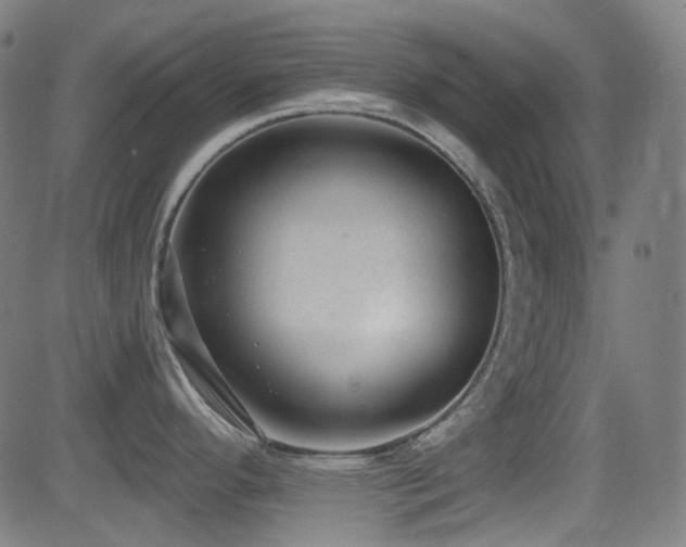 X0000081401296200701111533
