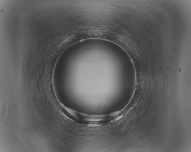 X0000081401297200701111532