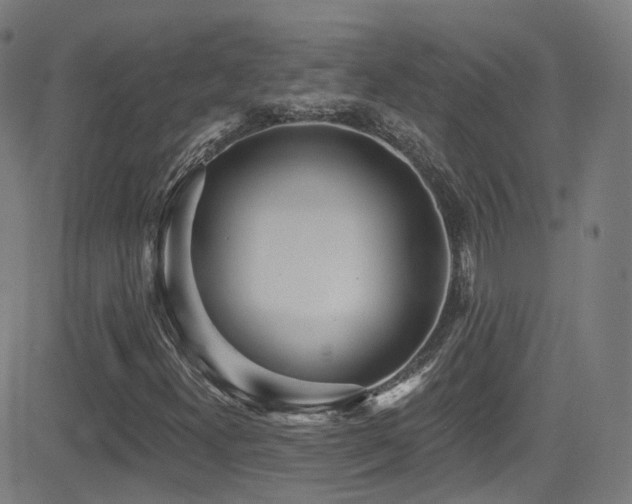 X0000081401300200701111532