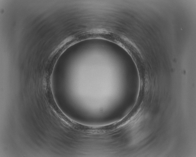 X0000081401305200701111533