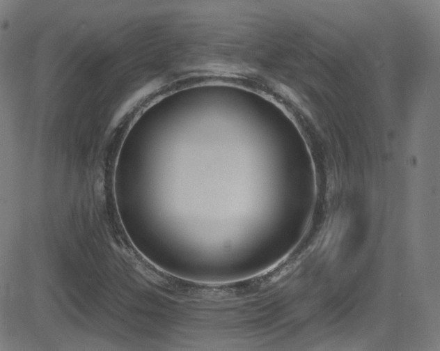 X0000081401307200701111533