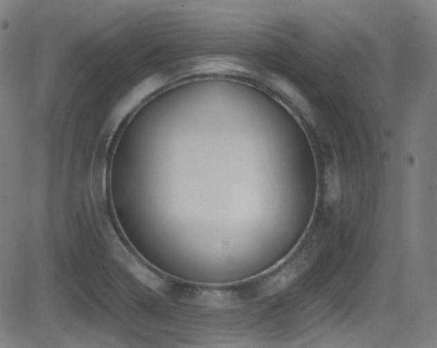 X0000081401322200701111533