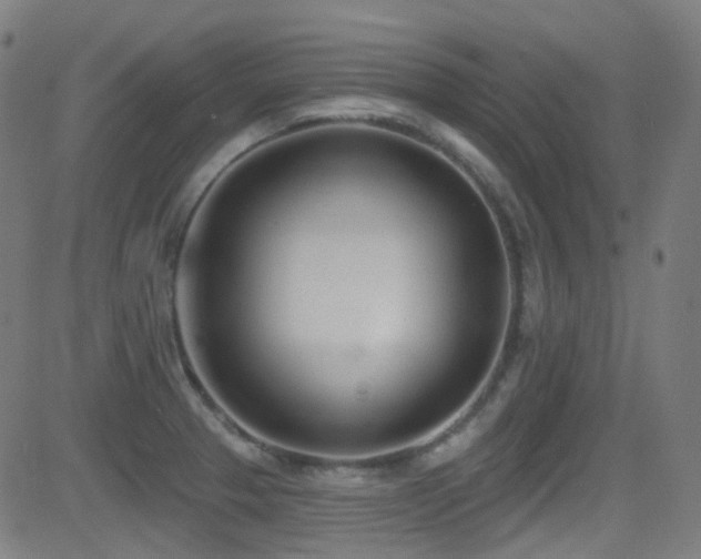 X0000081401329200701111533