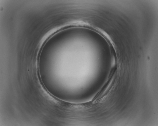 X0000081401335200701111533