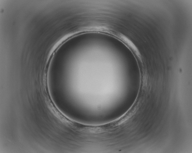 X0000081401340200701111533