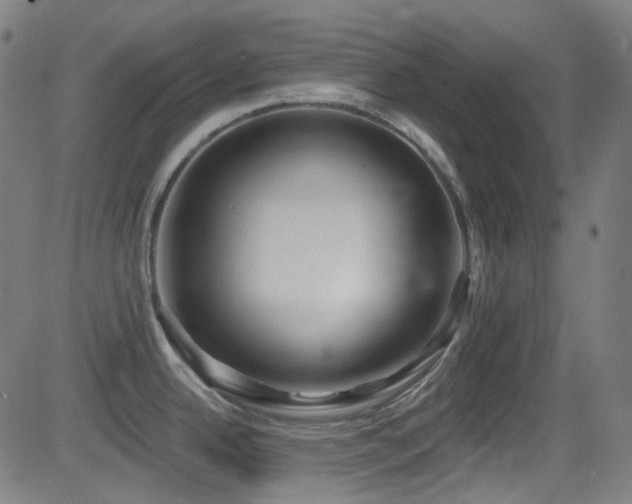 X0000081401342200701111533