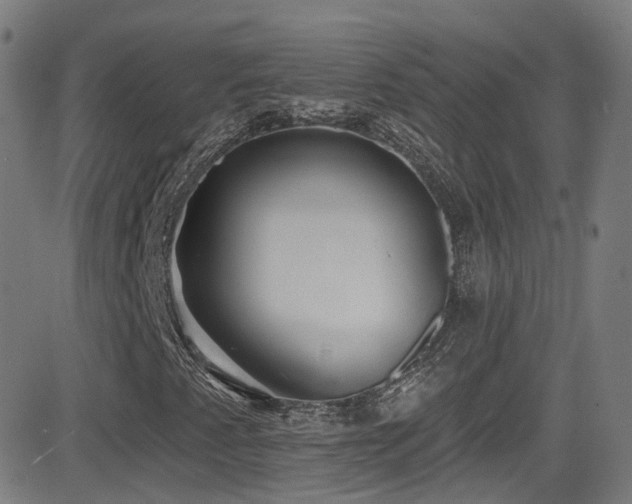 X0000081401345200701111532