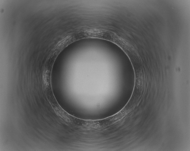 X0000081401346200701111532
