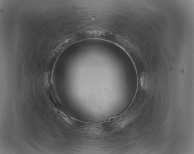 X0000081401347200701111532