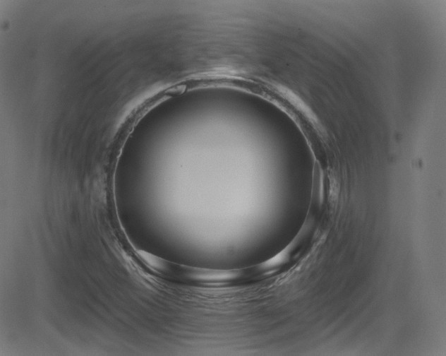 X0000081401356200701111532