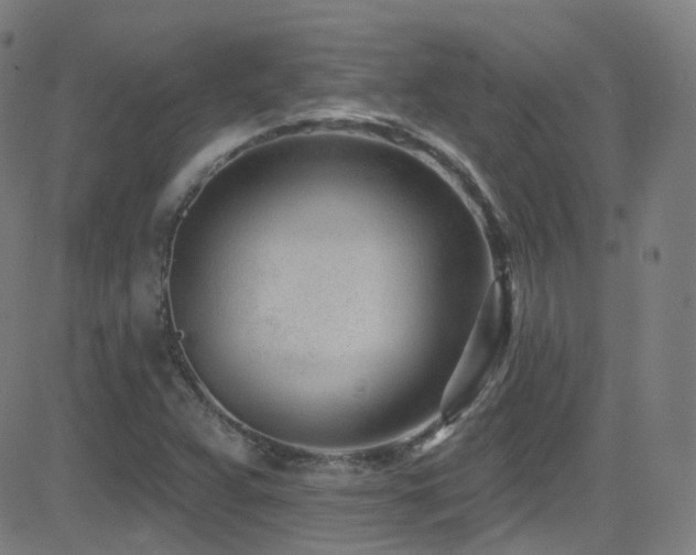 X0000081401359200701111532