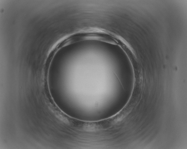 X0000081401364200701111532