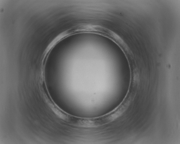 X0000081401370200701111532
