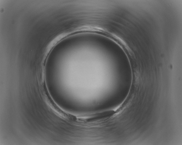 X0000081401371200701111532