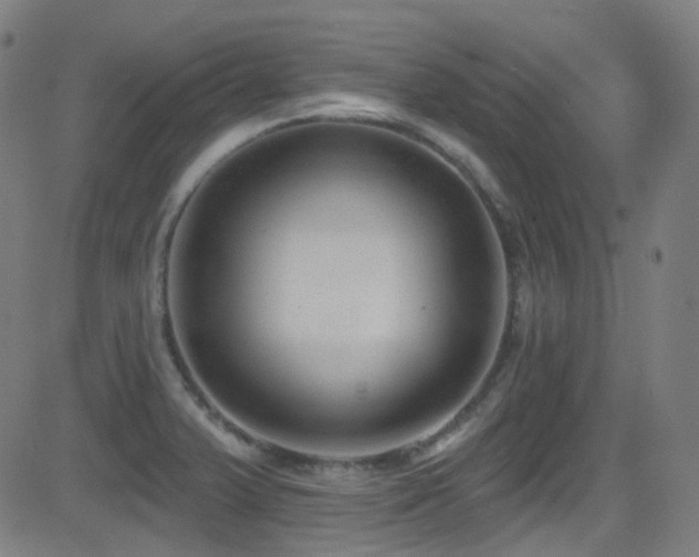 X0000081401375200701111532