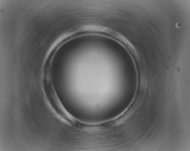 X0000081401376200701111532