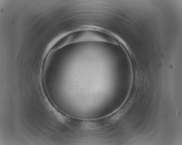 X0000081401379200701111532