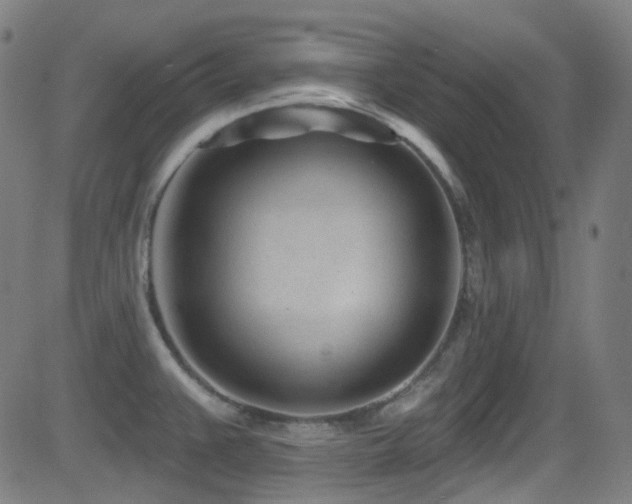 X0000081401383200701111532