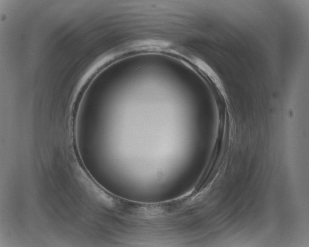 X0000081401384200701111532