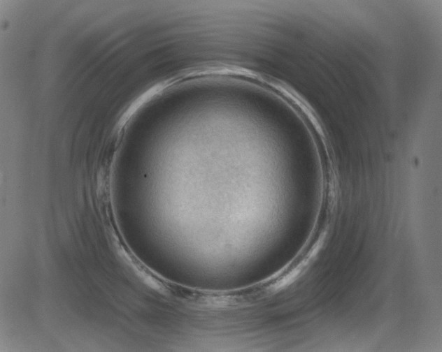 X0000081401385200701111532