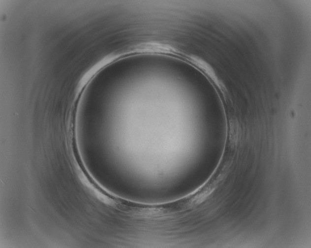 X0000081401387200701111532