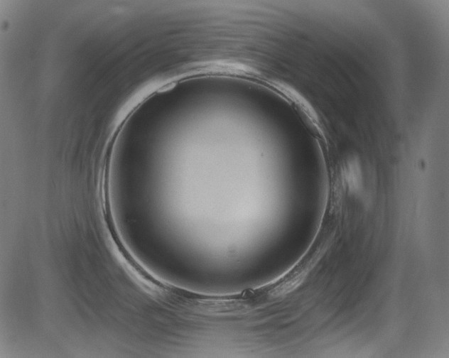 X0000081401391200701111532
