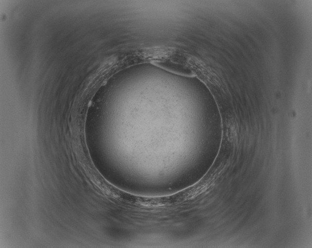 X0000081401393200701111531