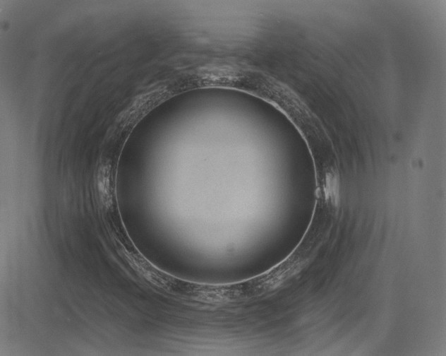 X0000081401396200701111531