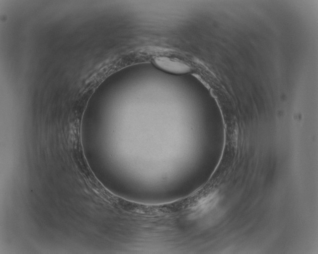X0000081401397200701111531