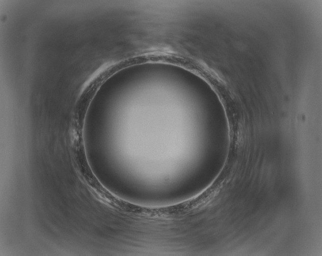 X0000081401400200701111531
