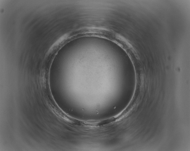X0000081401403200701111531
