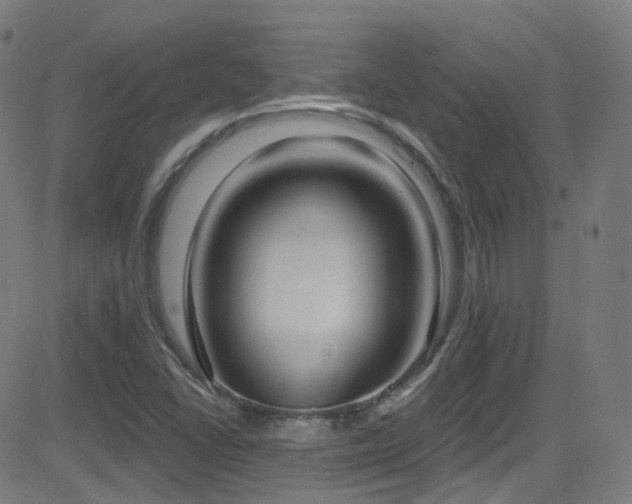 X0000081401406200701111531