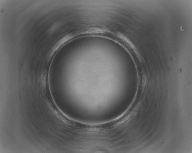 X0000081401409200701111531
