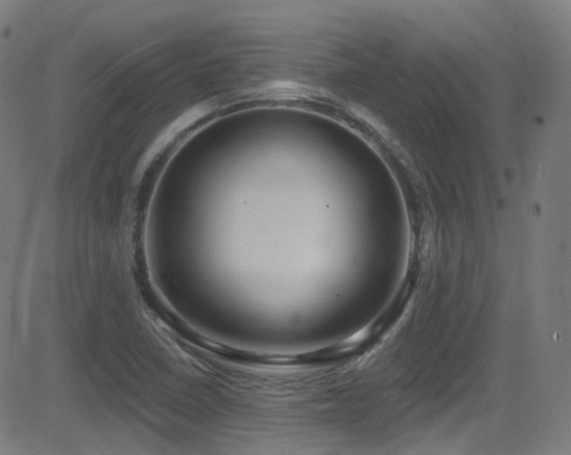 X0000081401410200701111531