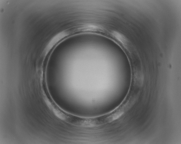 X0000081401418200701111531