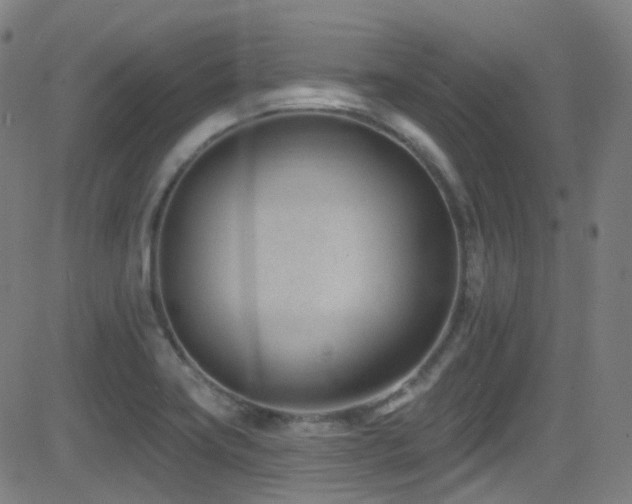 X0000081401419200701111531
