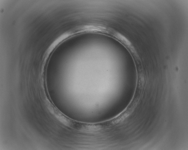 X0000081401427200701111531