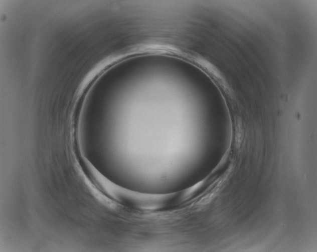 X0000081401430200701111531