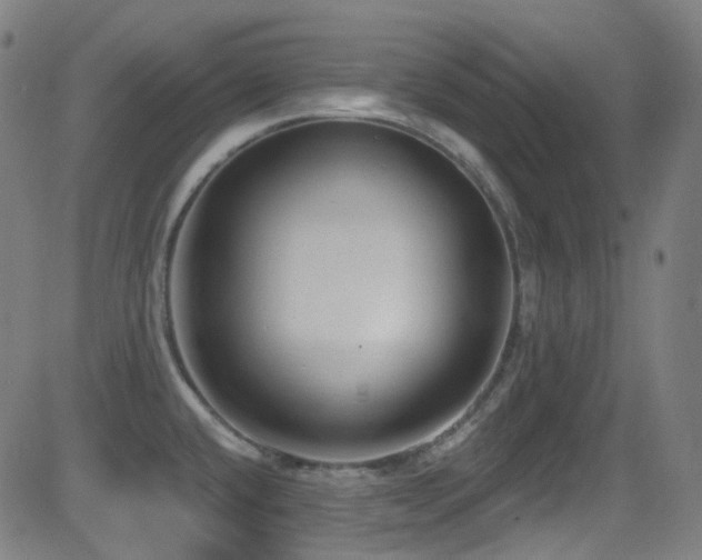 X0000081401432200701111532