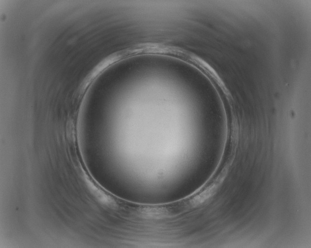 X0000081401433200701111532
