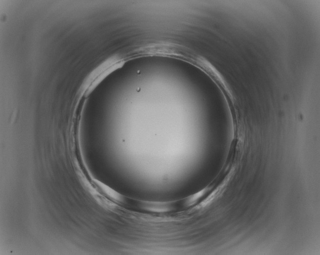 X0000081401434200701111532